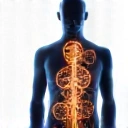 Echilibrul hormonal și starea de bine cu GlucoVital