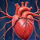 Sănătate cardiovasculară cu GlucoVital